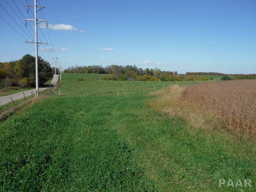 0 Locust Road Hopedale, IL 61747 - Photo 3 of 12