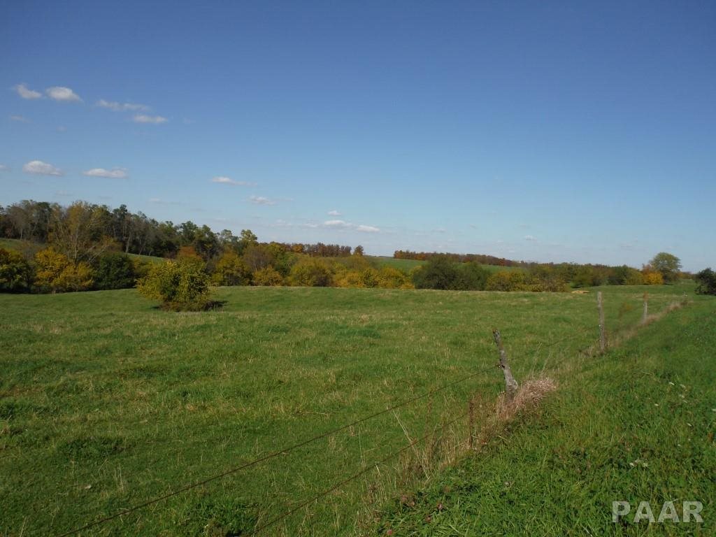 0 Locust Road Hopedale, IL 61747 - Photo 4 of 12