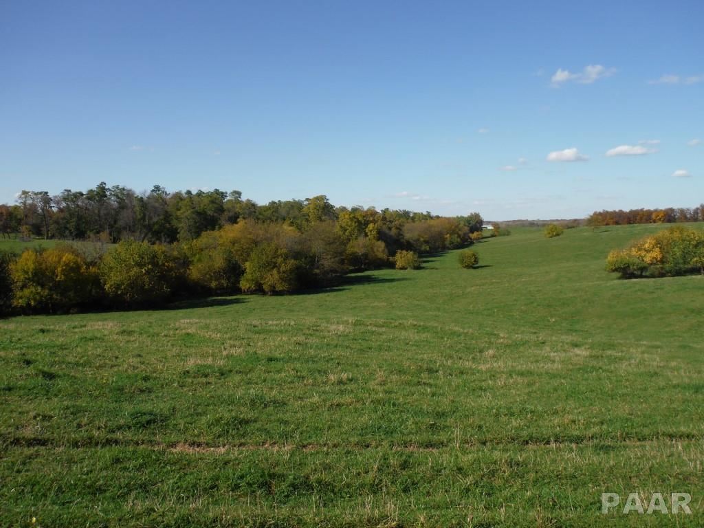 0 Locust Road Hopedale, IL 61747 - Photo 5 of 12