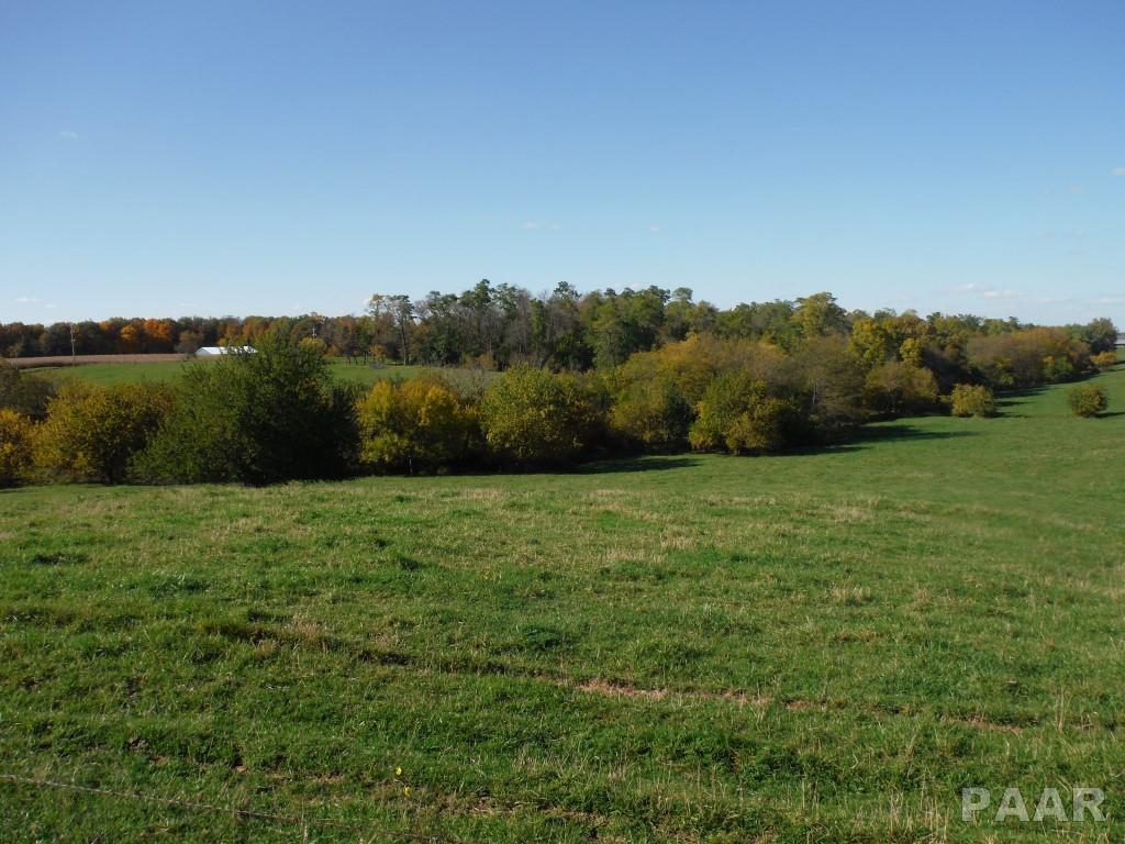 0 Locust Road Hopedale, IL 61747 - Photo 6 of 12