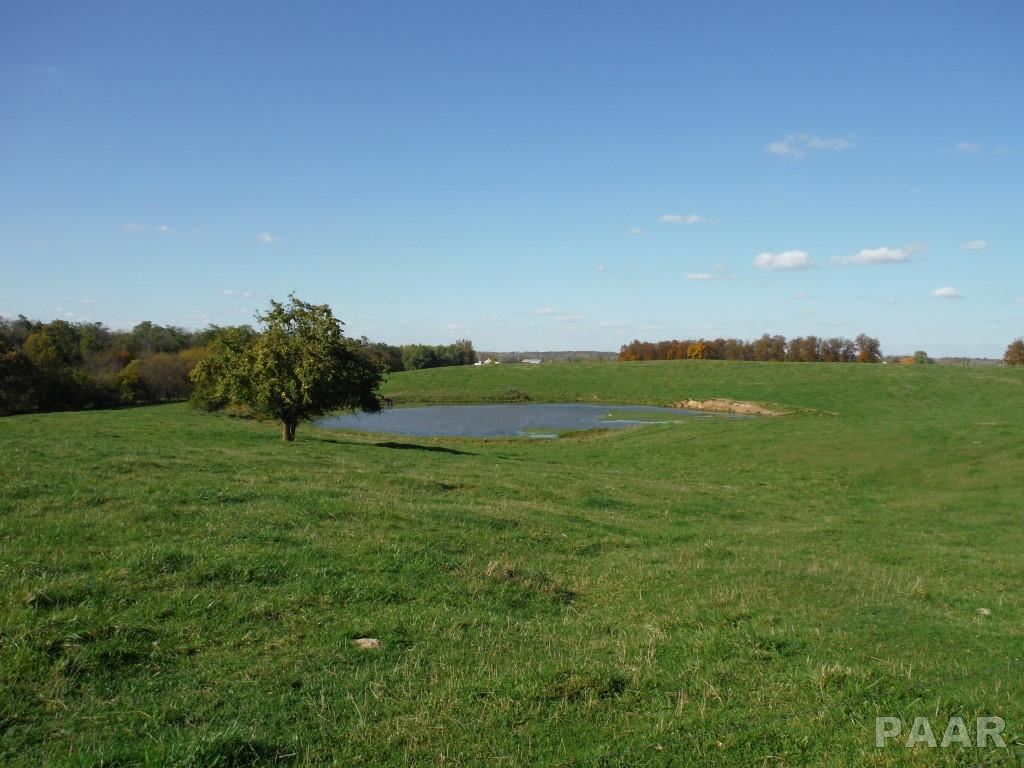 0 Locust Road Hopedale, IL 61747 - Photo 7 of 12