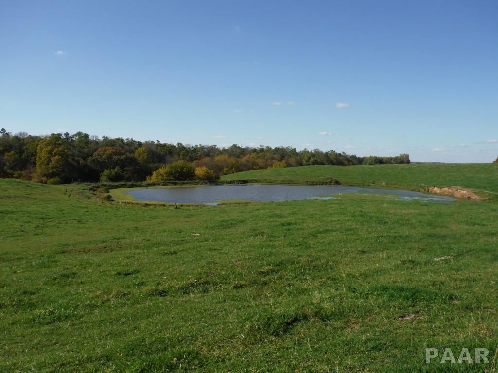 0 Locust Road Hopedale, IL 61747 - Photo 8 of 12