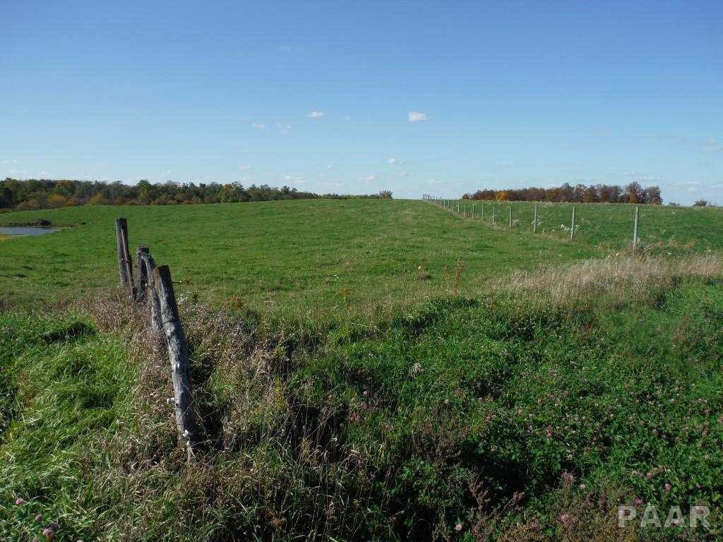 0 Locust Road Hopedale, IL 61747 - Photo 9 of 12