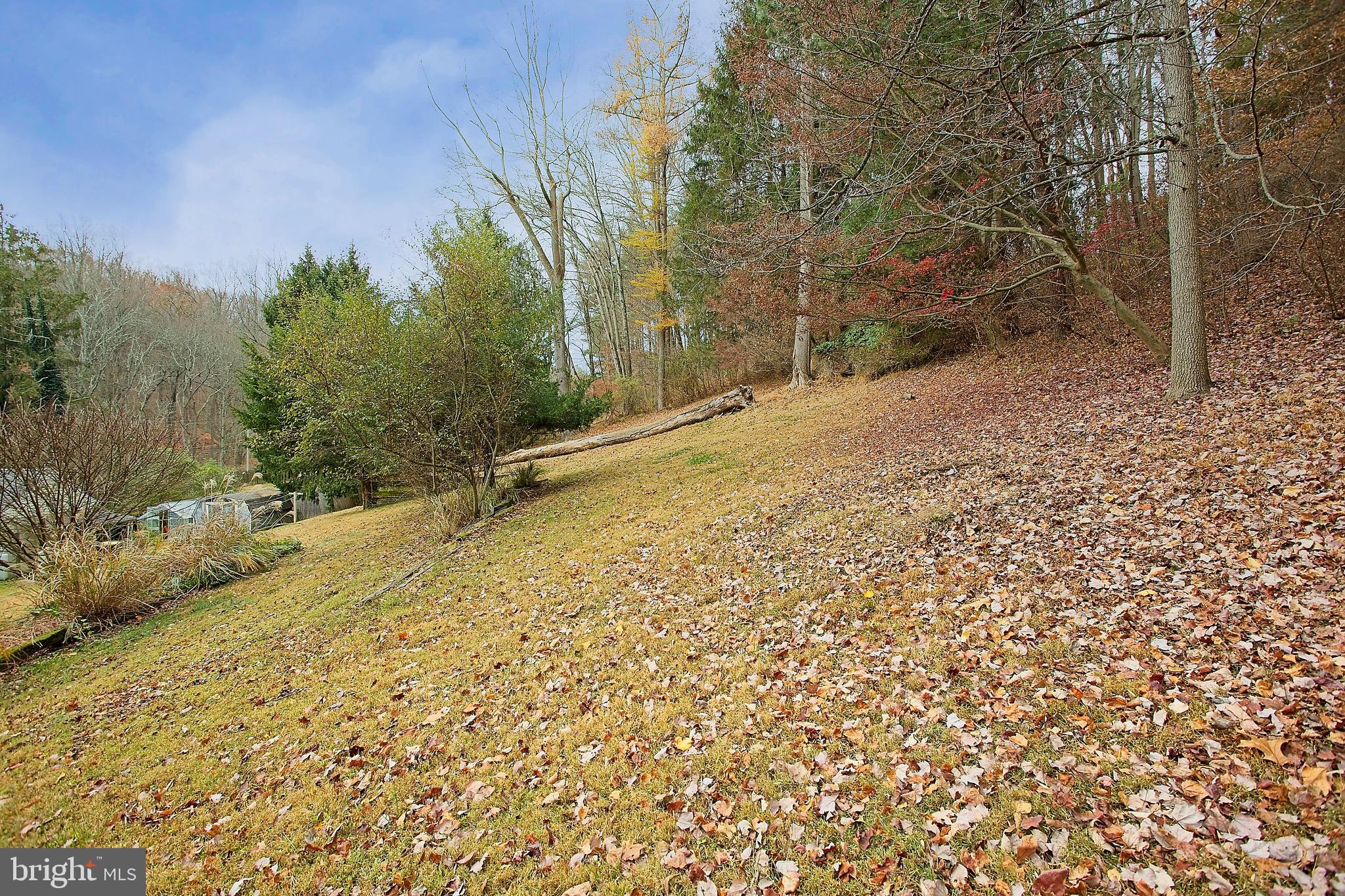 1223 Hall Road West Chester, PA 19380 - Photo 42 of 42 Back yard