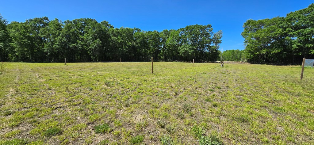 800 Grady Garner Road Slocomb, AL 36375 - Photo 11 of 49