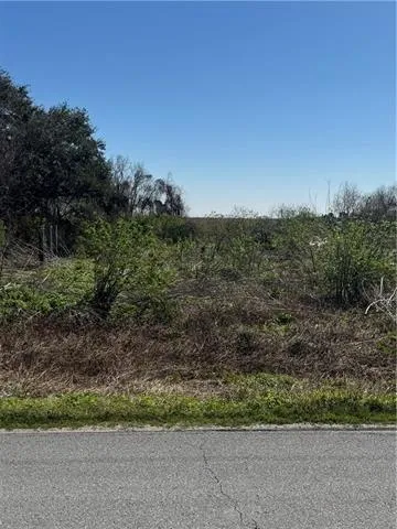 $48,500 | Lot 75 Delacroix Highway, St. Bernard, LA 70085