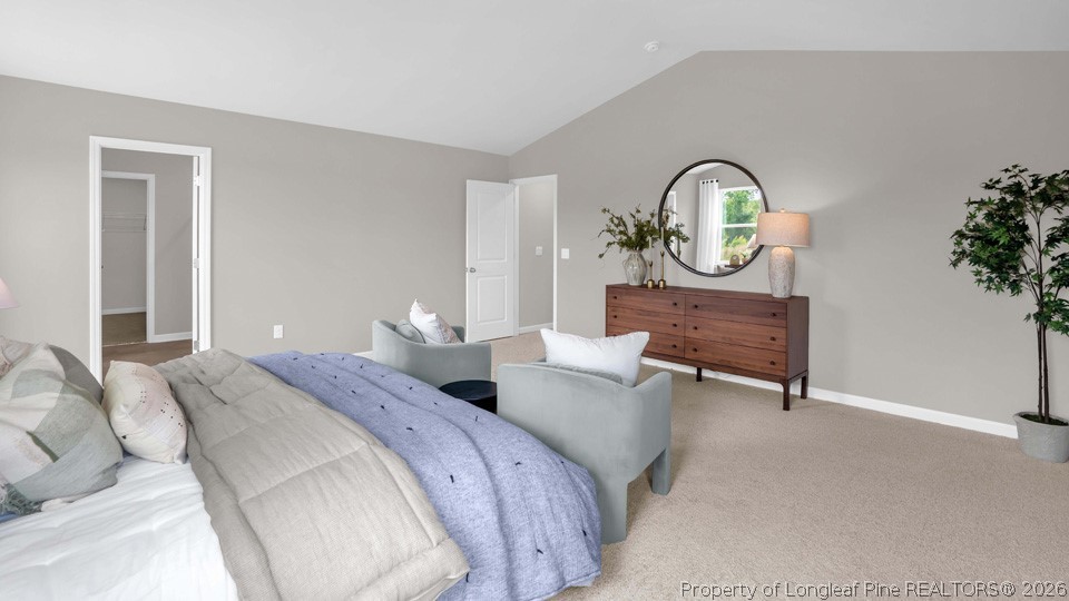 143 Rashford Way Raeford, NC 28376 - Photo 21 of 33 a bedroom with bed and a potted plant