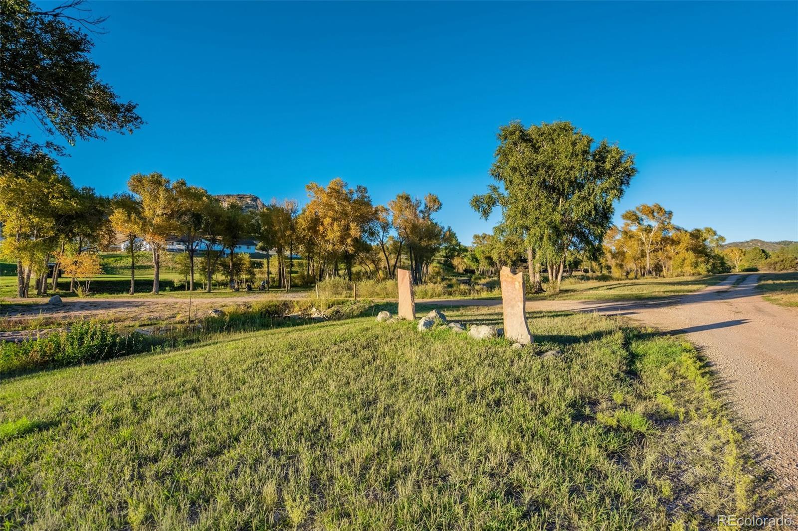 850 West Fox Farm Road Larkspur, CO 80118 - Photo 45 of 50 a view of a yard with yellow house