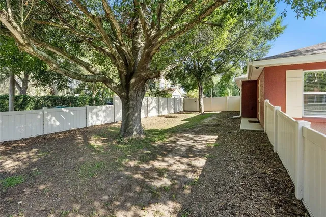 a view of a yard with plants and trees