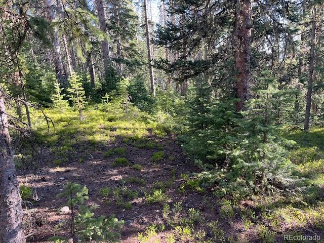 Lot 6525 Schlueter Road San Luis, CO 81152 - Photo 16 of 21
