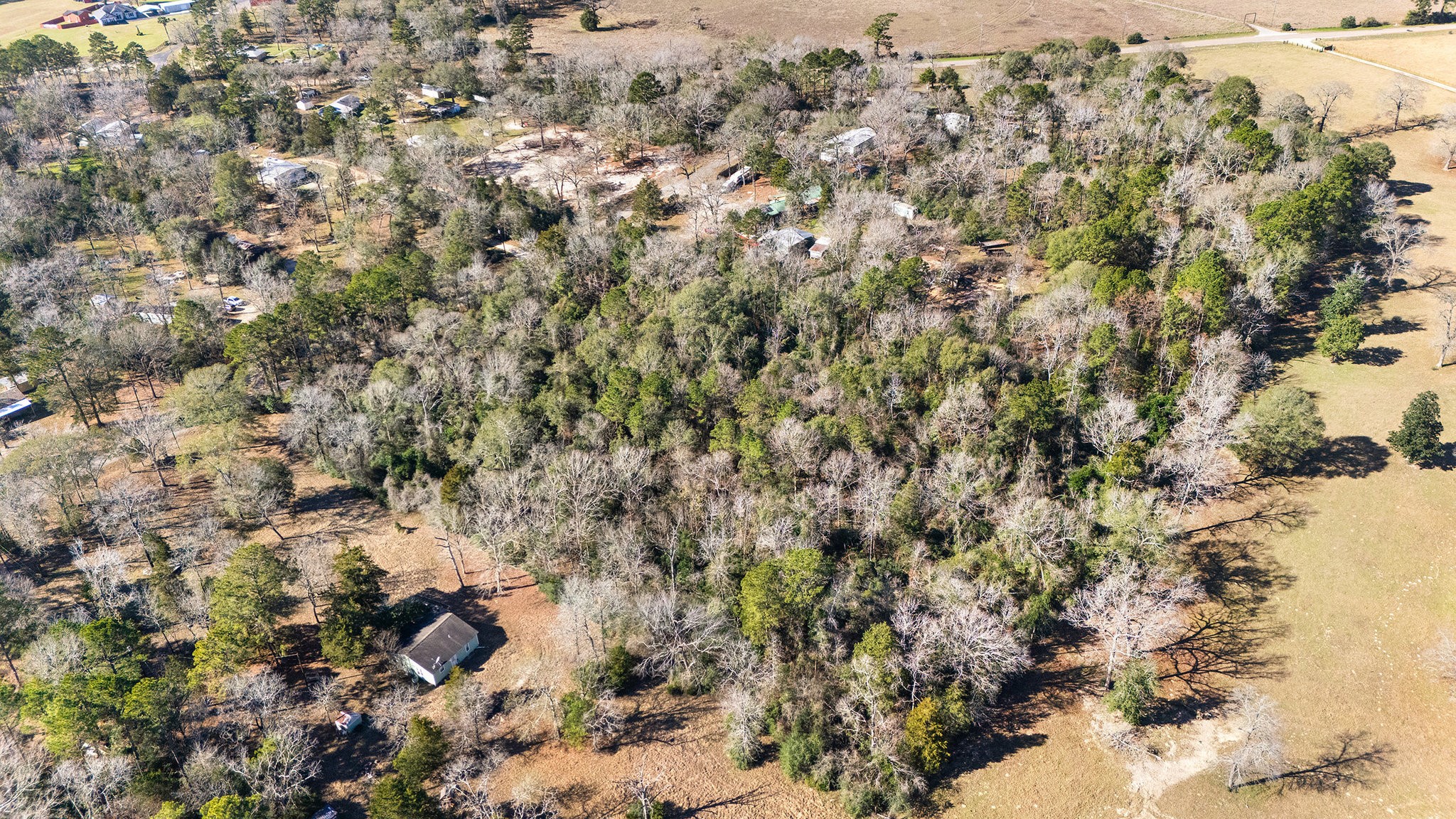 15685 McKay Road Willis, TX 77378 - Photo 14 of 21
