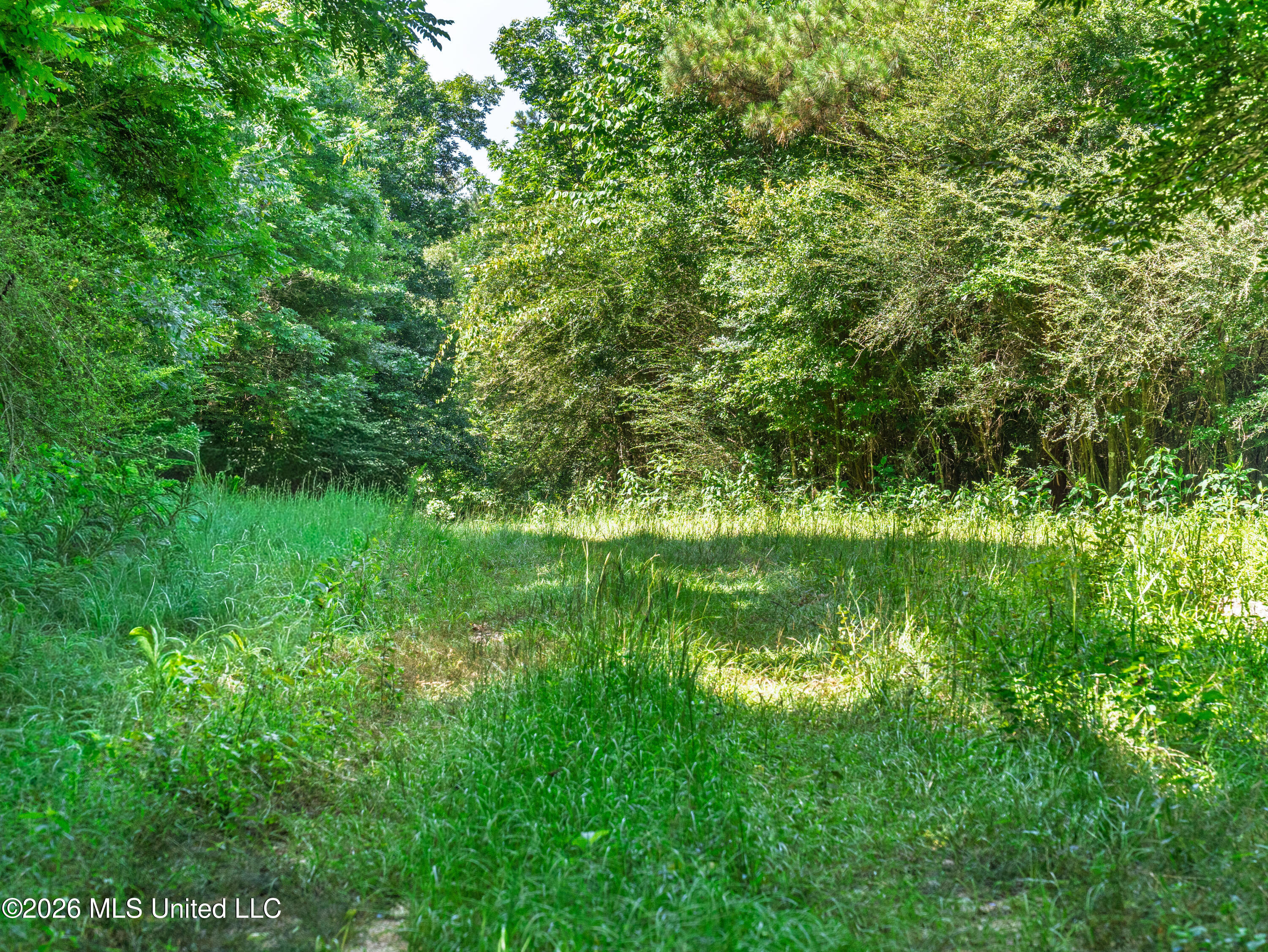 23 Co Road Bay Springs, MS 39422 - Photo 39 of 64 a7403821