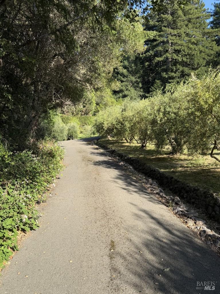 16875 Coleman Valley Road Occidental, CA 95465 - Photo 70 of 78