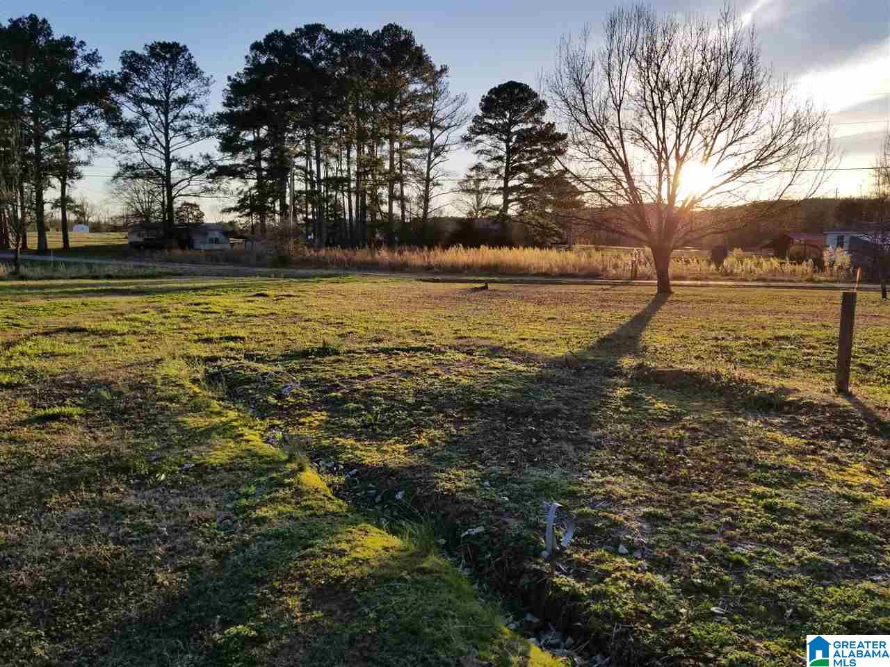 1244 Dove Welch Road Wellington, AL 36279 - Photo 2 of 5