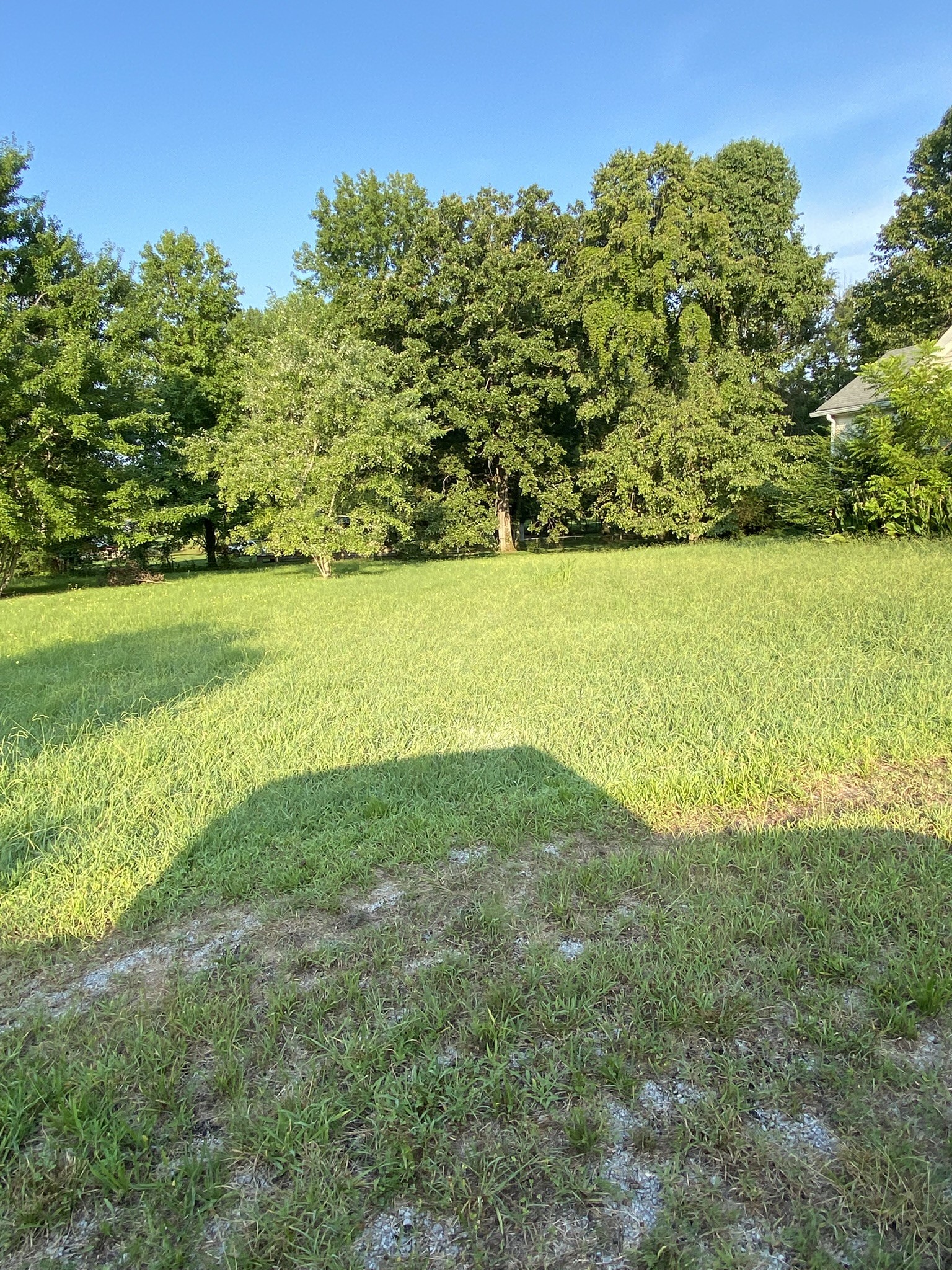 972 Fall River Road Goodspring, TN 38460 - Photo 7 of 31