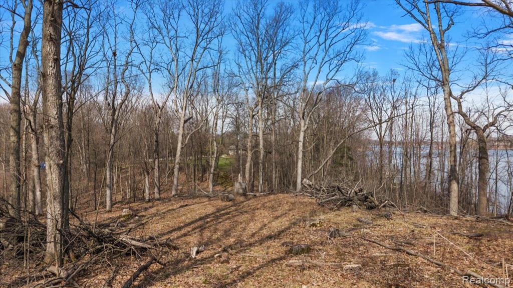 10515 Horton Road Goodrich, MI 48438 - Photo 12 of 13