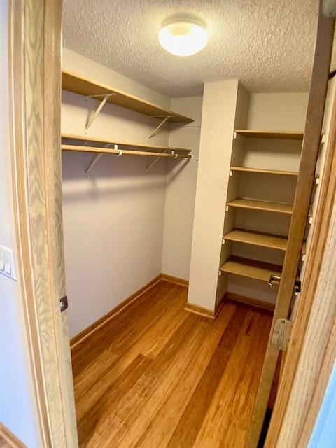 7250 Lewis Ridge Parkway, Unit 302 Edina, MN 55439 - Photo 42 of 66 Gallery Image 42