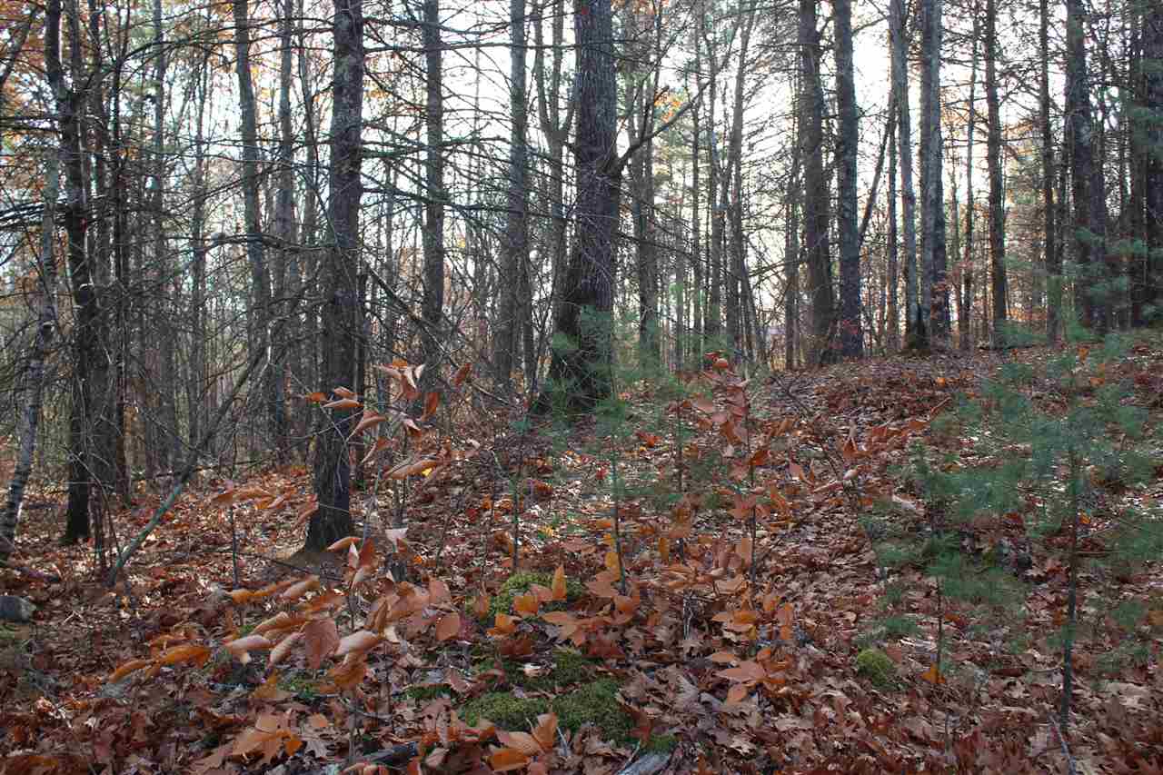Lot 64-2 Beaver Ridge Road Center Barnstead, NH 03225 - Photo 1 of 16