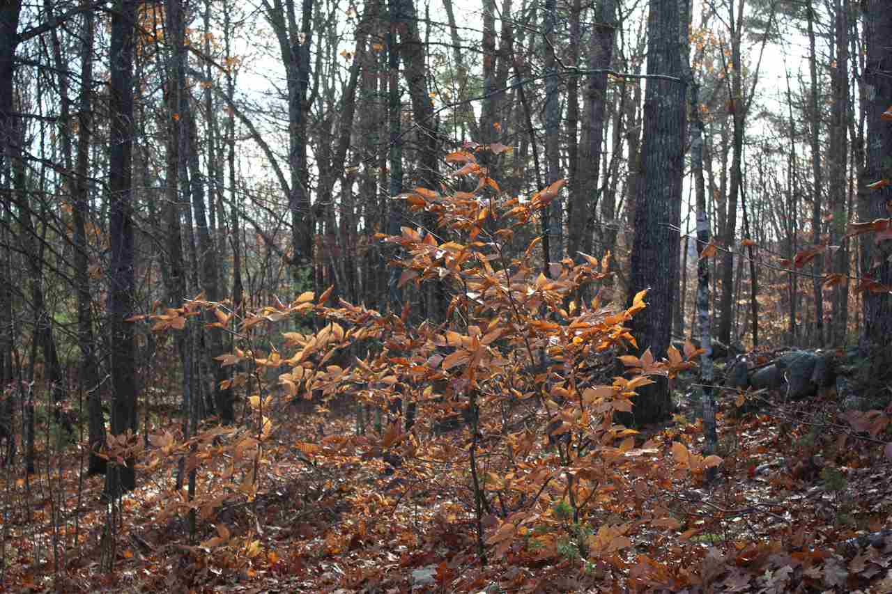 Lot 64-2 Beaver Ridge Road Center Barnstead, NH 03225 - Photo 11 of 16