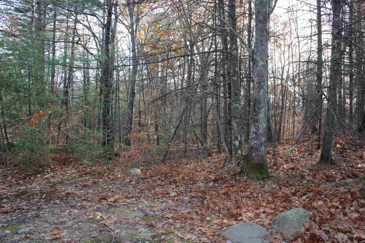 Lot 64-2 Beaver Ridge Road Center Barnstead, NH 03225 - Photo 14 of 16