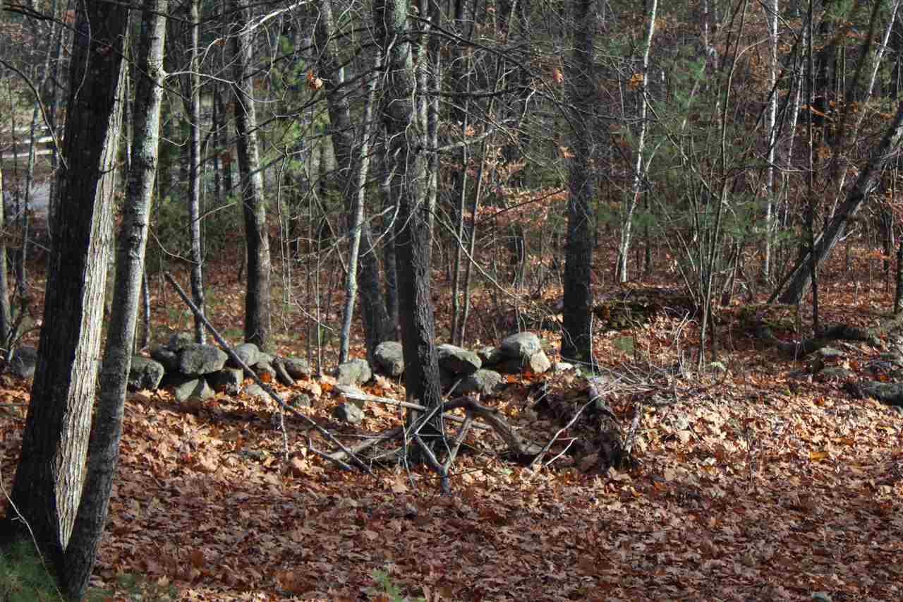 Lot 64-2 Beaver Ridge Road Center Barnstead, NH 03225 - Photo 15 of 16