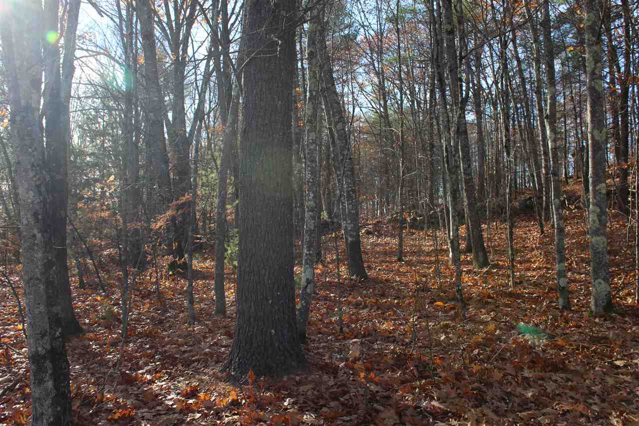 Lot 64-2 Beaver Ridge Road Center Barnstead, NH 03225 - Photo 3 of 16