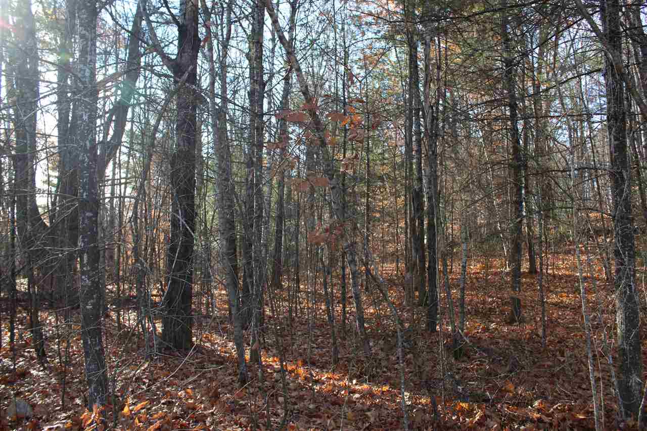 Lot 64-2 Beaver Ridge Road Center Barnstead, NH 03225 - Photo 5 of 16