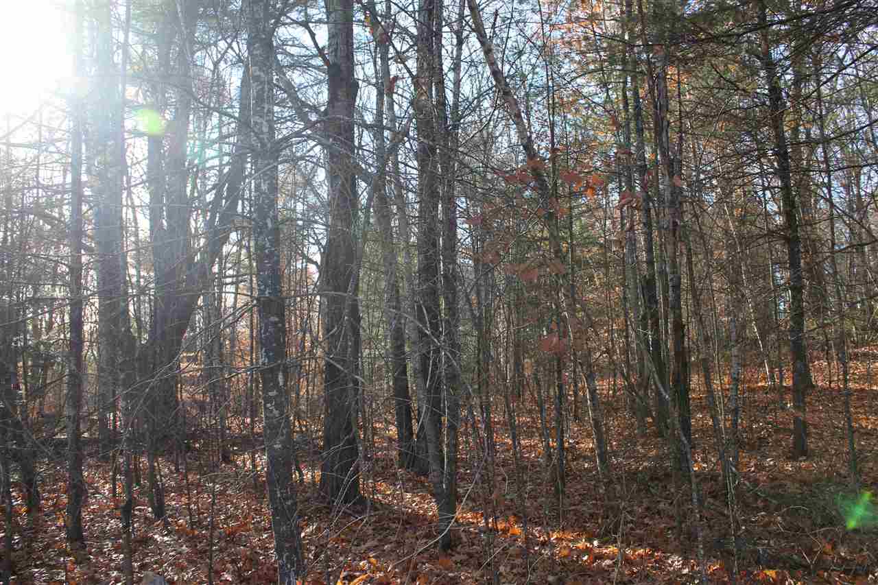 Lot 64-2 Beaver Ridge Road Center Barnstead, NH 03225 - Photo 6 of 16