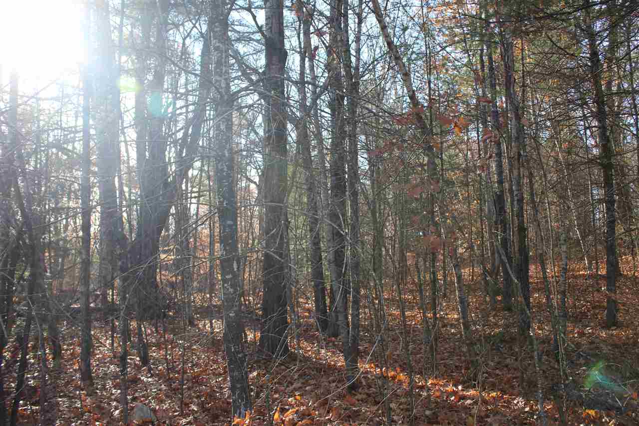 Lot 64-2 Beaver Ridge Road Center Barnstead, NH 03225 - Photo 7 of 16