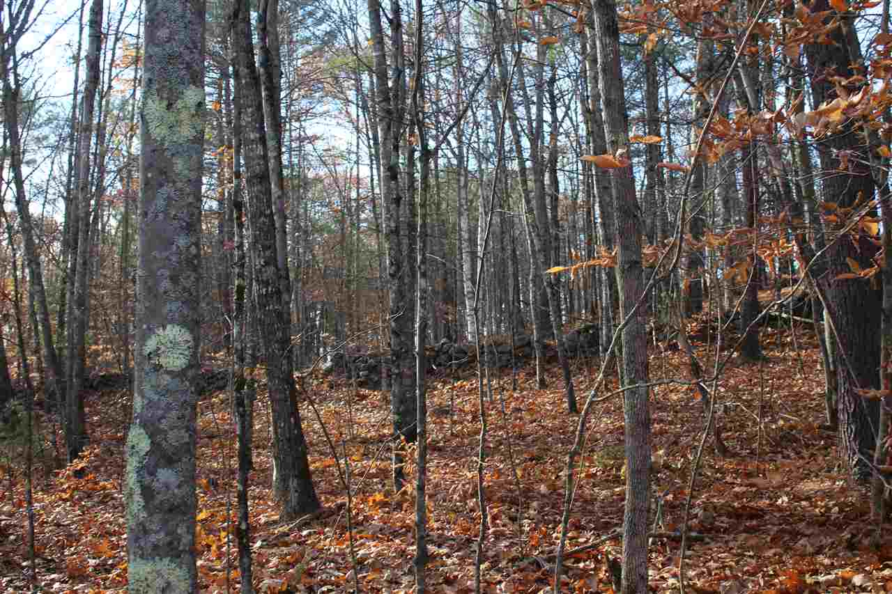 Lot 64-2 Beaver Ridge Road Center Barnstead, NH 03225 - Photo 8 of 16
