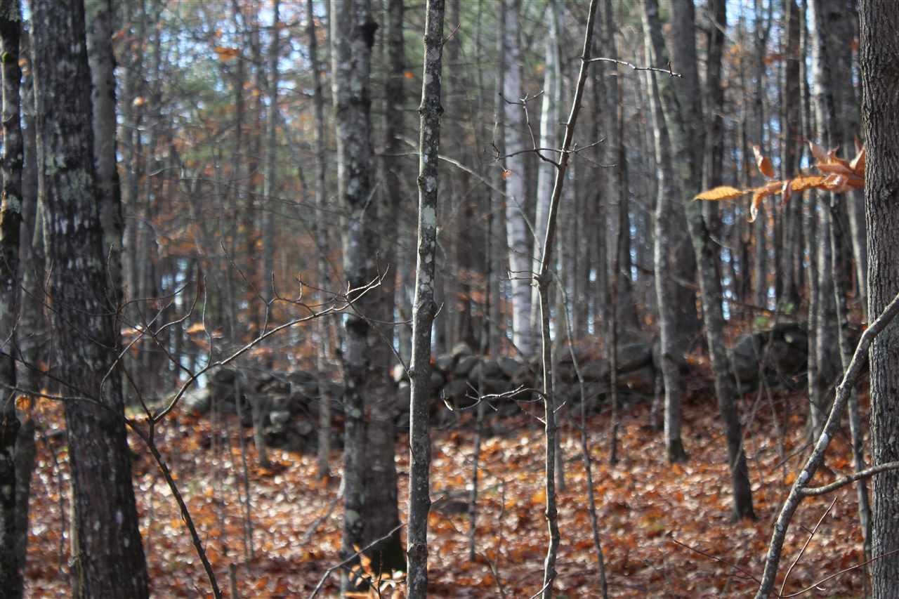 Lot 64-2 Beaver Ridge Road Center Barnstead, NH 03225 - Photo 10 of 16