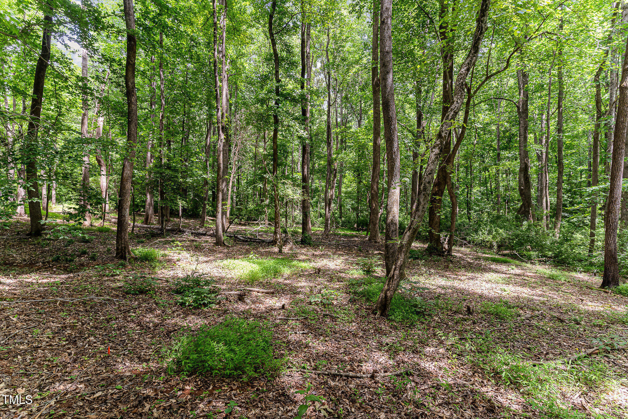 Lot 3 Country Routt Brown Road Pittsboro, NC 27312 - Photo 12 of 12 044_dsc00043-edit_947