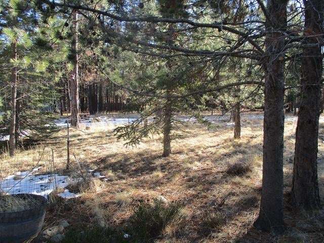 14834 Bluegrass Loop Sisters, OR 97759 - Photo 5 of 16 431-467911 FRONT YARD
