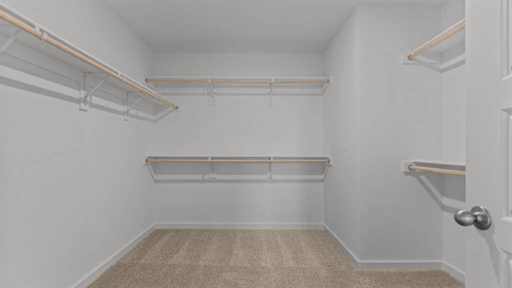 3408 Rendezvous Way Sherman, TX 75090 - Photo 15 of 21 Walk in closet featuring light carpet