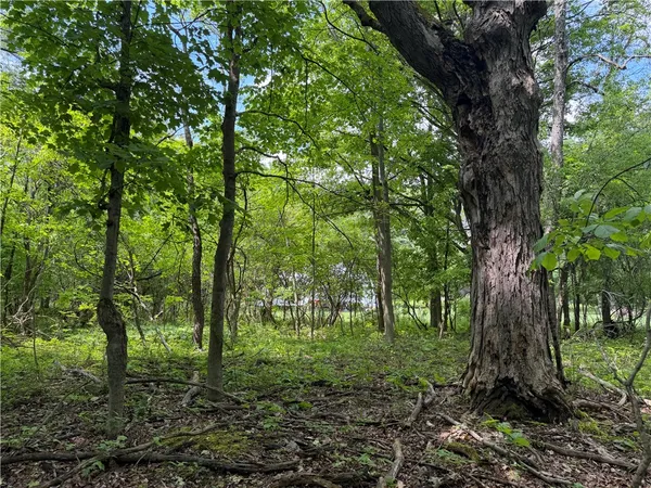 $27,900 | Vl Reed Road, Dansville, NY 14437