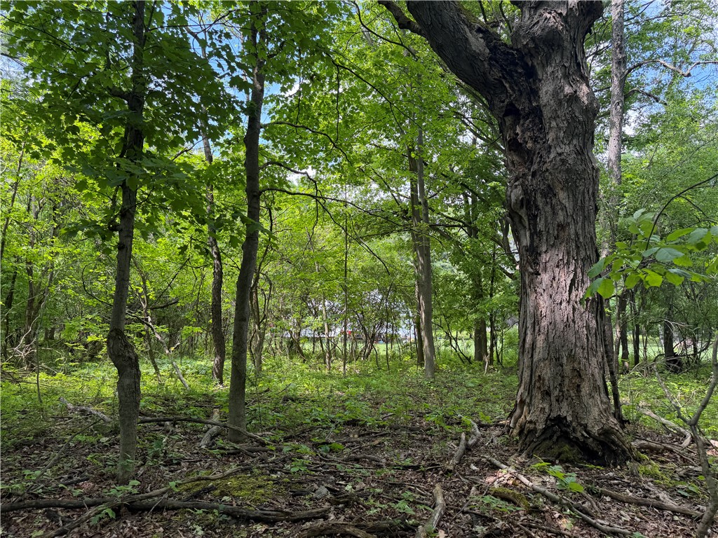 Vl Reed Road Dansville, NY 14437 - Photo 1 of 29