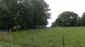 1620 Guy Ferrell Road Franklin, TN 37067 - Photo 1 of 4 a view of a green yard