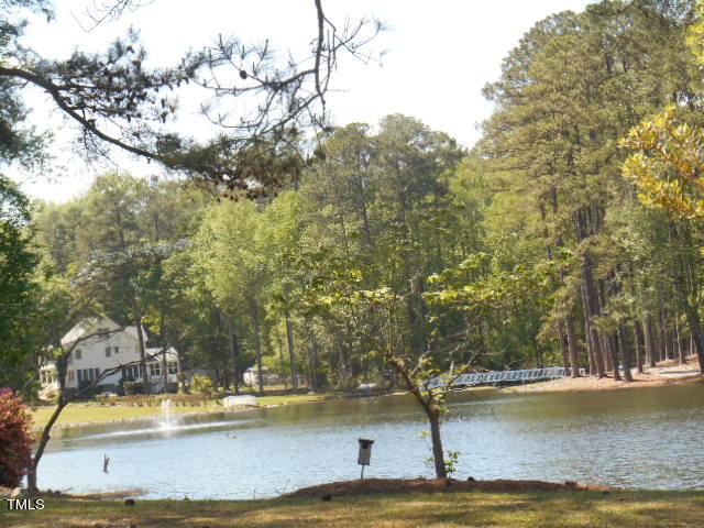 614 Pope Lake Road Angier, NC 27501 - Photo 80 of 81 Pond in Community