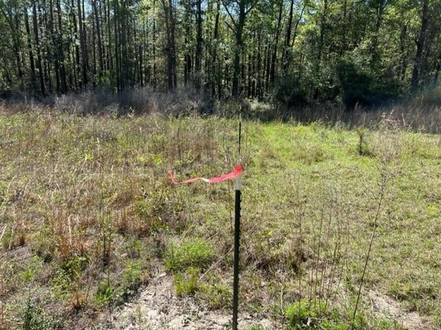 331 US Highway 331 Opp, AL 36467 - Photo 8 of 20 Gallery Image 8