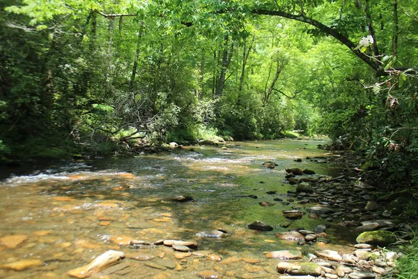 $195,000 | 5-6 Slate Stone, Hayesville, NC 28904