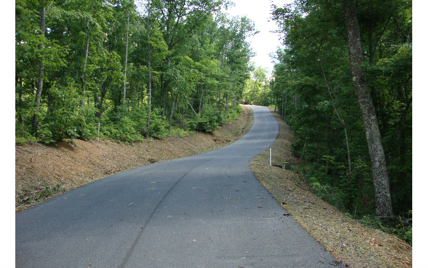 13 Pinhook Ridge Murphy, NC 28906 - Photo 1 of 1 a view of a pathway with a yard