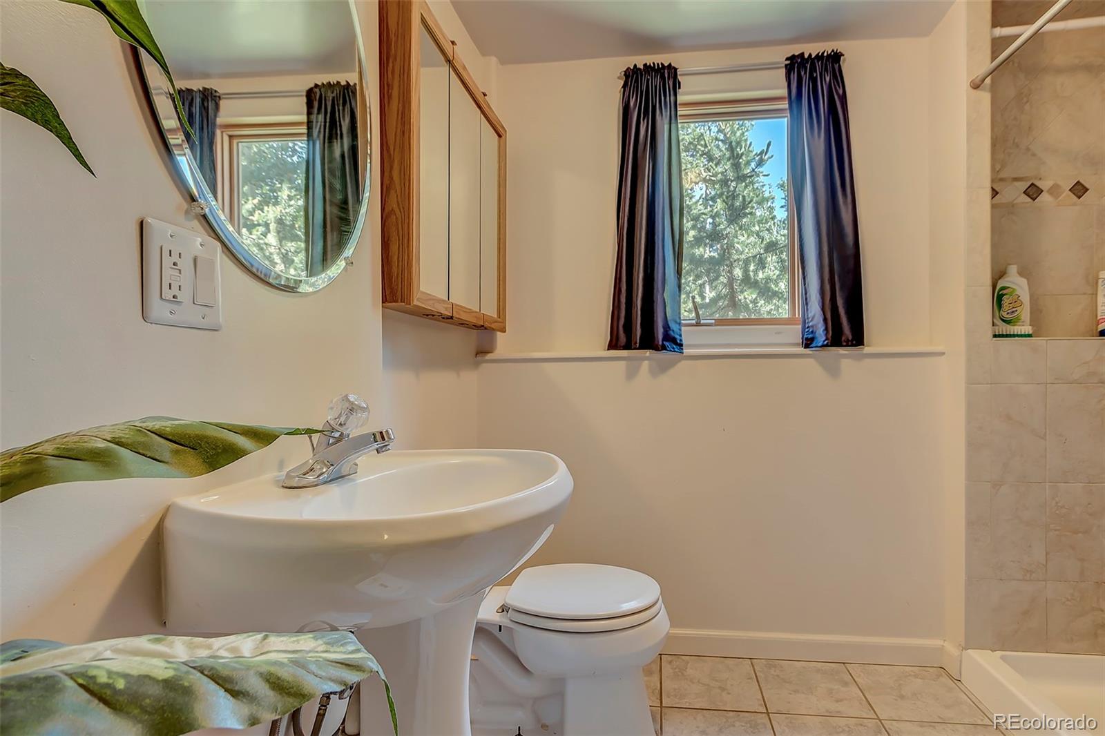11162 Conifer Mountain Road Conifer, CO 80433 - Photo 5 of 35 Gallery Image 5