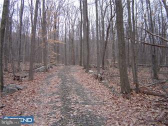 242 Fort Henry Road Bethel, PA 19507 - Photo 1 of 1 Gallery Image 1