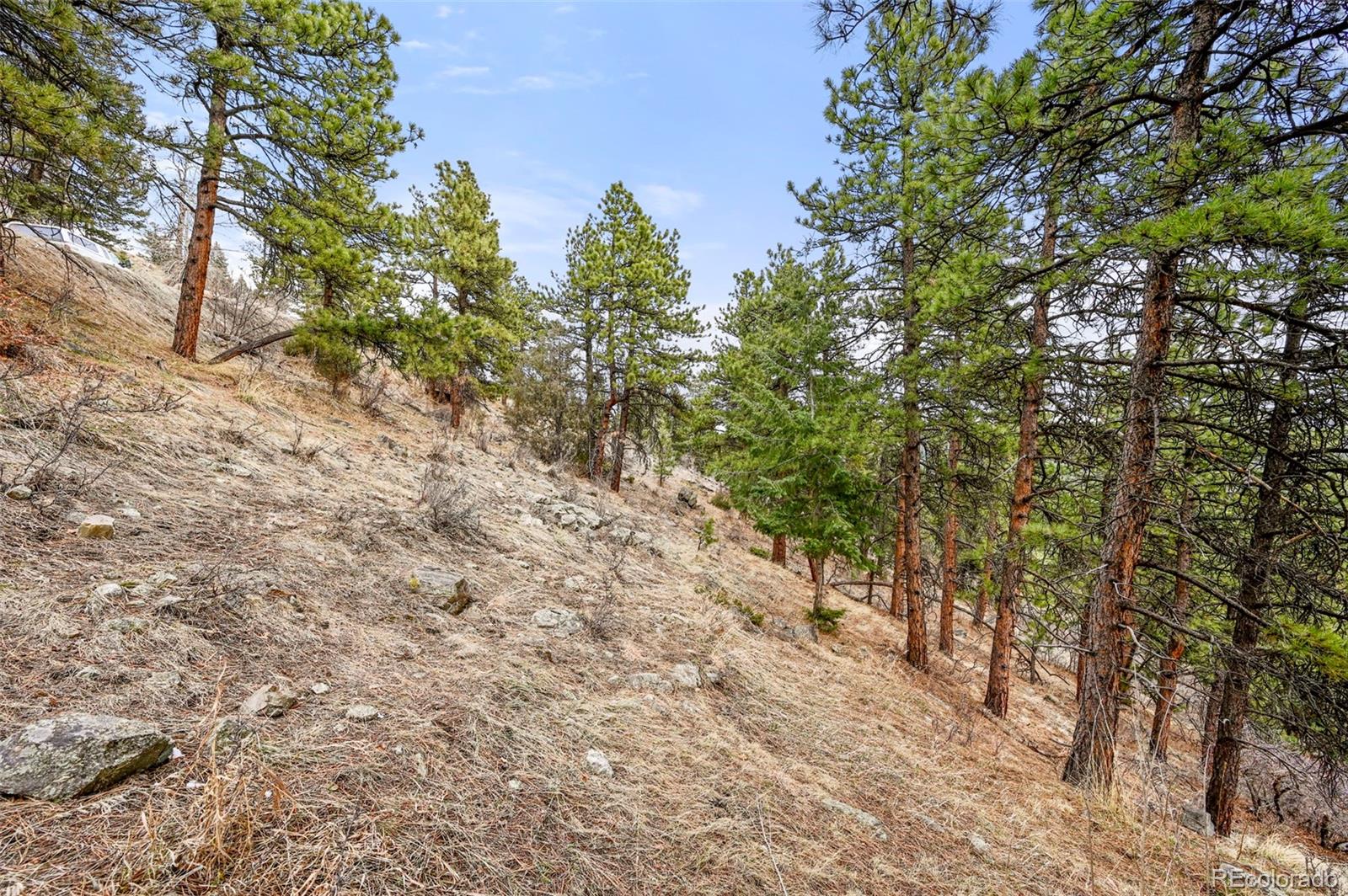 5312 Adahi Road Indian Hills, CO 80454 - Photo 22 of 34