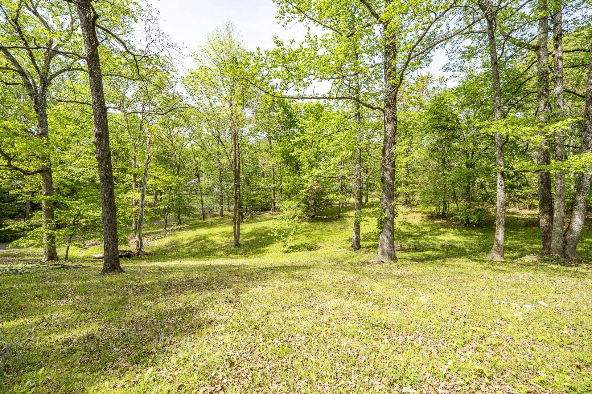 191 Crabtree Road Selmer, TN 38375 - Photo 16 of 18 a swimming pool with trees in the background