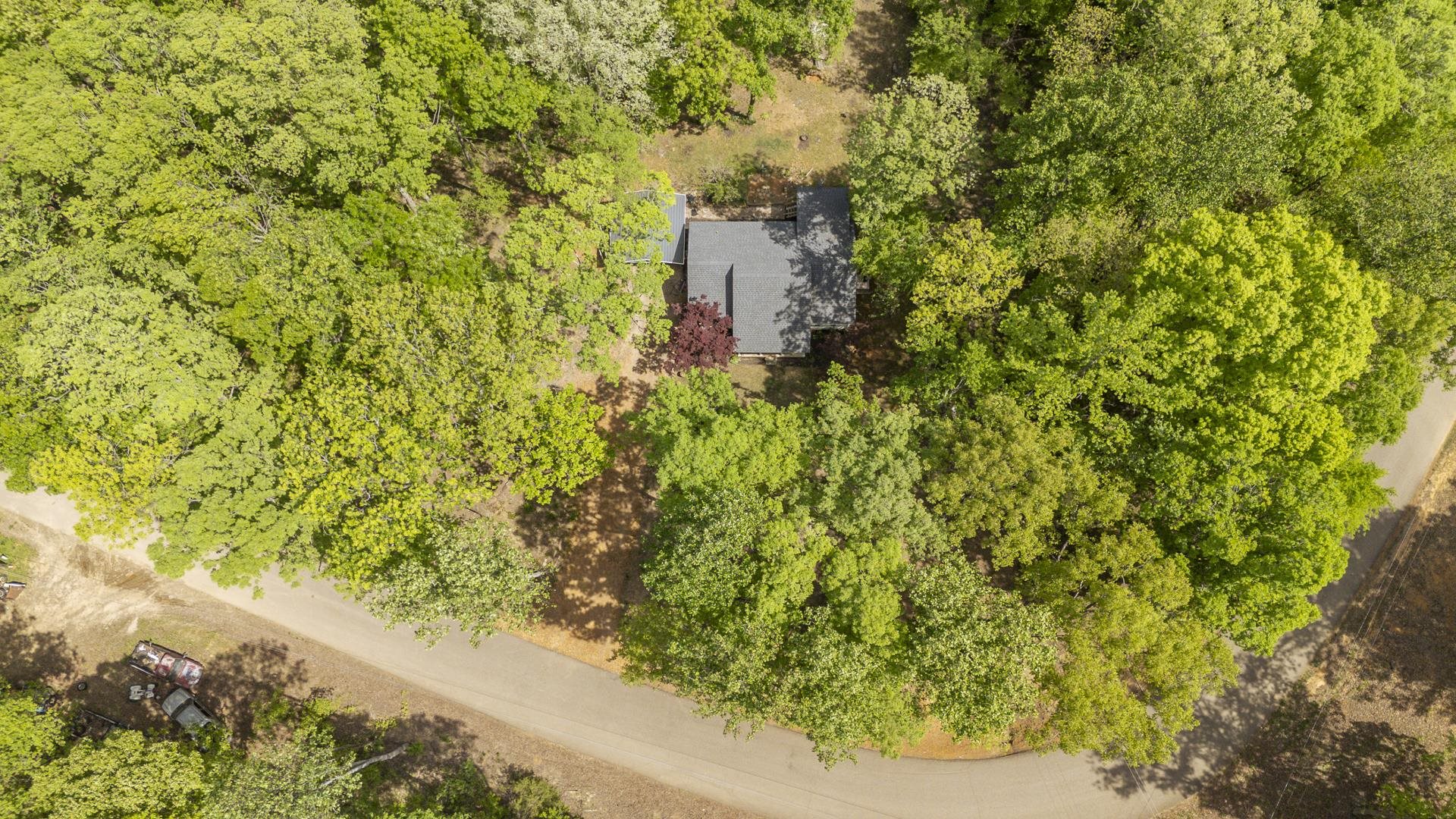 191 Crabtree Road Selmer, TN 38375 - Photo 17 of 18 a view of a yard with plants and wooden fence