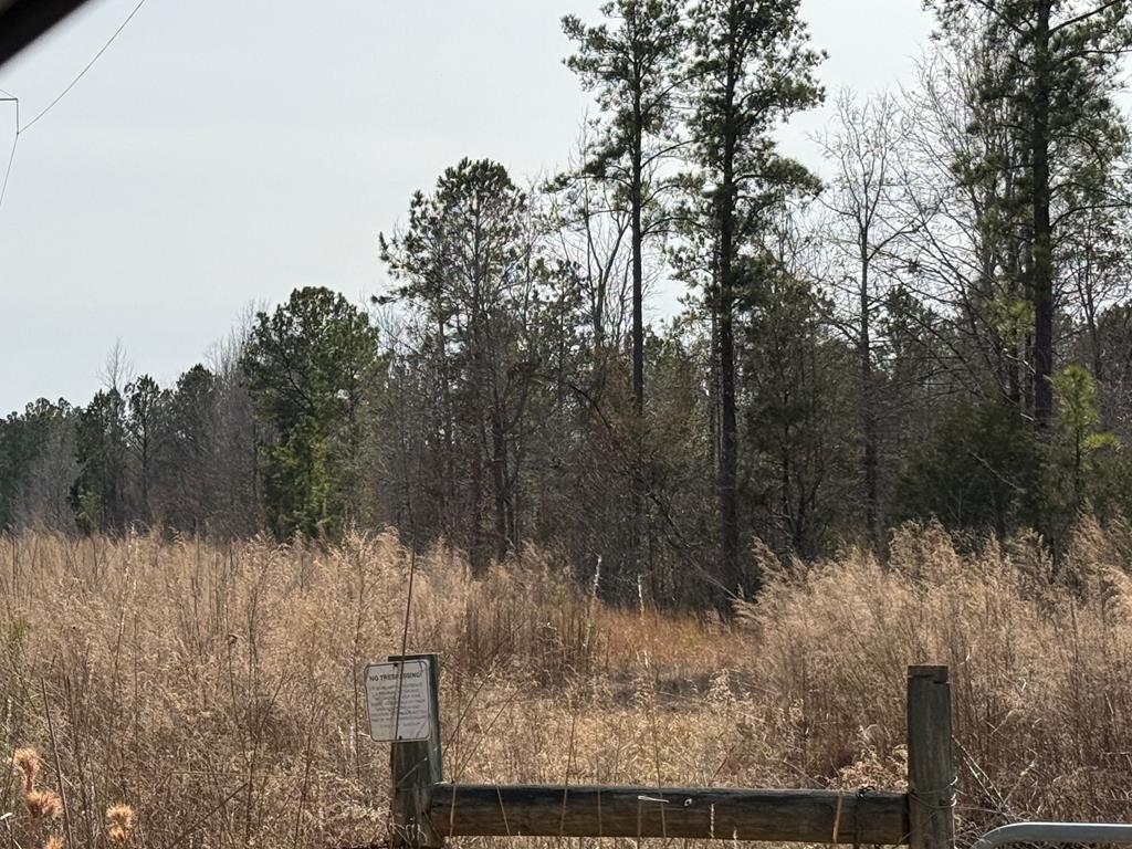 106 State Rd S-24-147 Bradley, SC 29819 - Photo 62 of 71 Gallery Image 62