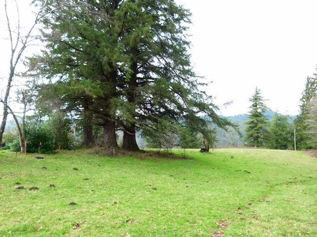 Tl#1008 Bel Air Road Cloverdale, OR 97112 - Photo 18 of 20 P1080404