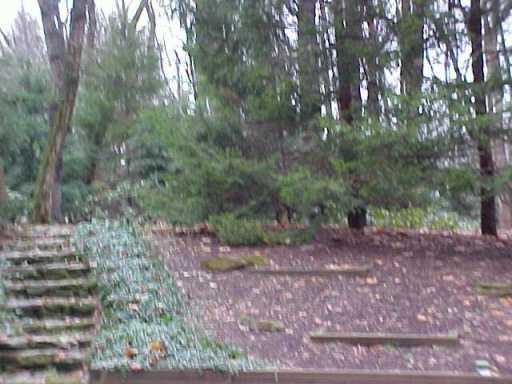 930 Sewickley Road Beaver Falls, PA 15010 - Photo 8 of 8 Yard/Garden.