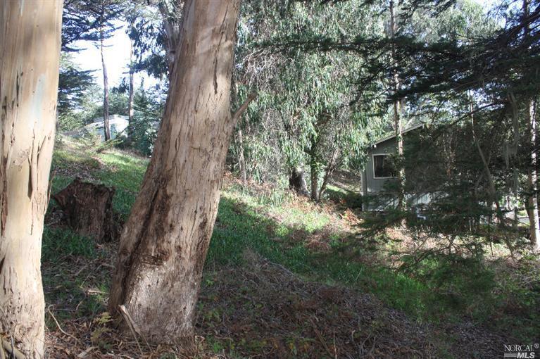 1695 Bay Flat Road Bodega Bay, CA 94923 - Photo 1 of 1 Gallery Image 1